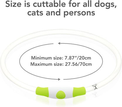 Light up Dog Collar, USB Rechargeable LED Glow Necklace, Cyan | Waterproof IP67, Cut-To-Fit TPU, 360° Night Safety, Pet Visibility Light, Camping & Walking, Fits Small-Large Dogs
